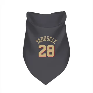 Chicago Bulls Guerschon Yabusele Gray  Dog & Cat Pet Bandana