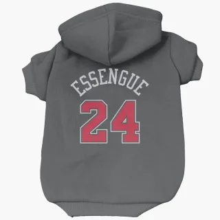 Chicago Bulls Noa Essengue Black  Dog & Cat Pet Hoodie