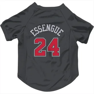 Chicago Bulls Noa Essengue Black  Dog & Cat Pet Jersey