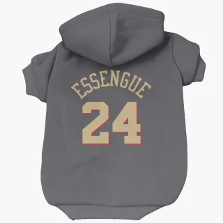 Chicago Bulls Noa Essengue Gray  Dog & Cat Pet Hoodie