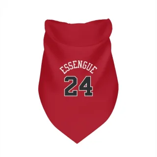 Chicago Bulls Noa Essengue Red  Dog & Cat Pet Bandana