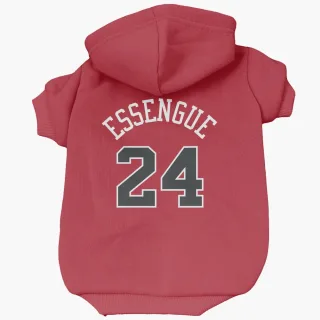 Chicago Bulls Noa Essengue Red  Dog & Cat Pet Hoodie
