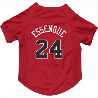 Chicago Bulls Noa Essengue Red  Dog & Cat Pet Jersey