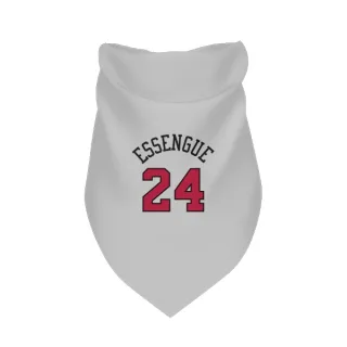 Chicago Bulls Noa Essengue White  Dog & Cat Pet Bandana