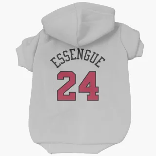 Chicago Bulls Noa Essengue White  Dog & Cat Pet Hoodie