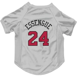 Chicago Bulls Noa Essengue White  Dog & Cat Pet Jersey